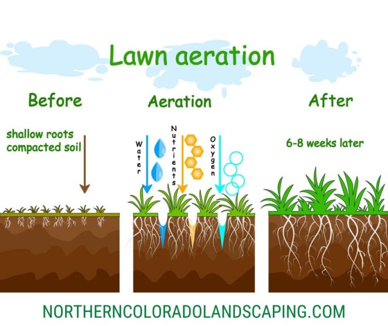 Spring Aeration in Northern Colorado Northern Colorado Landscaping