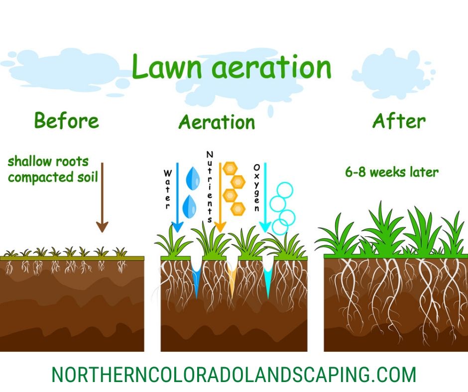 spring aeration northern colorado