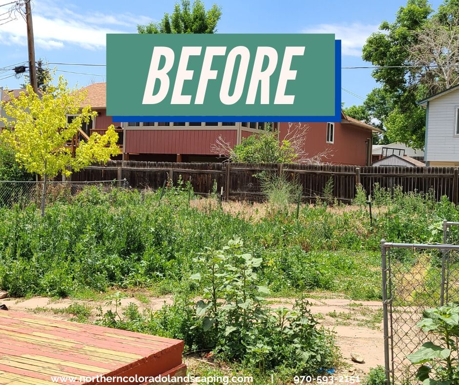 landscaping curb appeal northern colorado