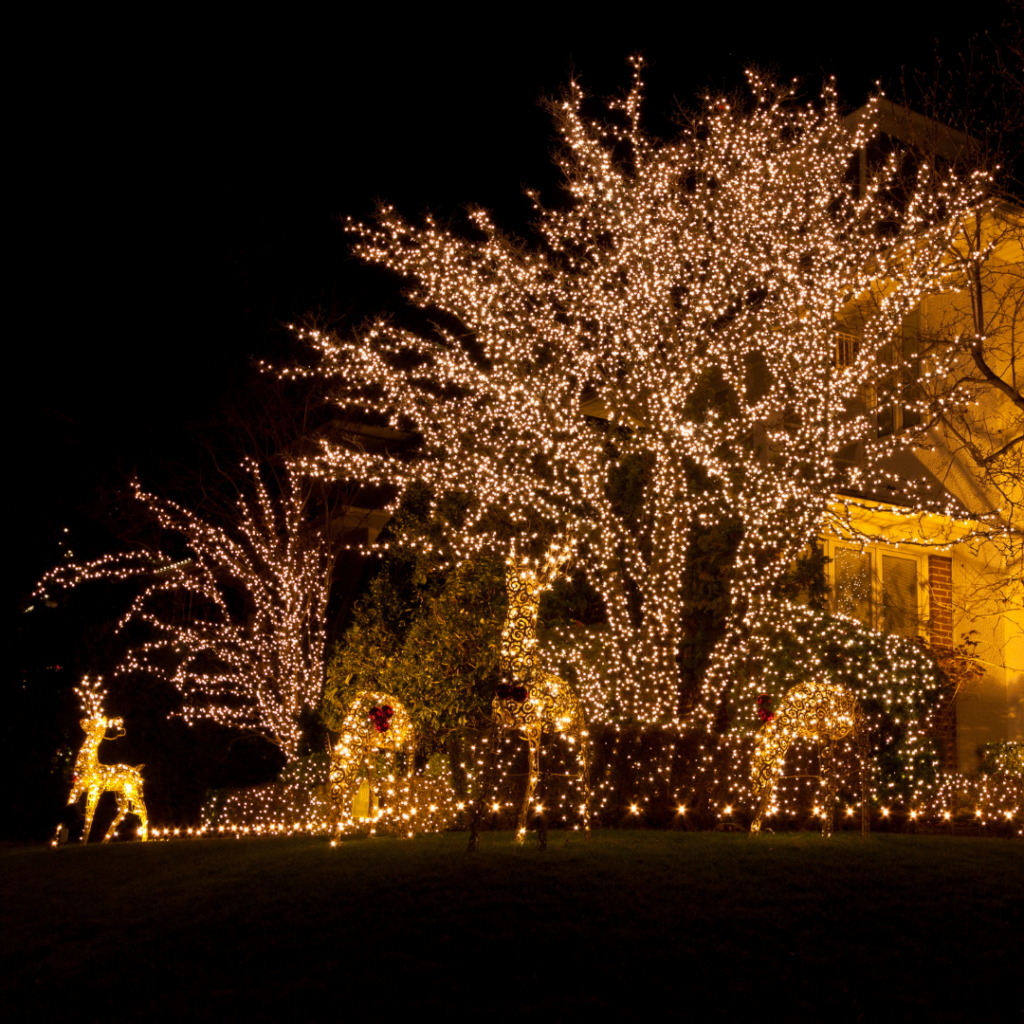 Northern Colorado Christmas Light Installation