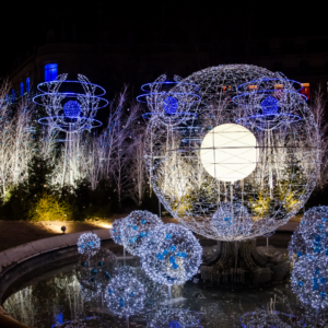 Northern Colorado Christmas Light Installation