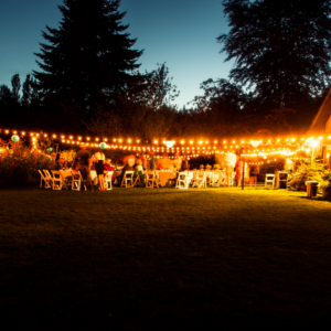 Northern Colorado Christmas Light Installation Event