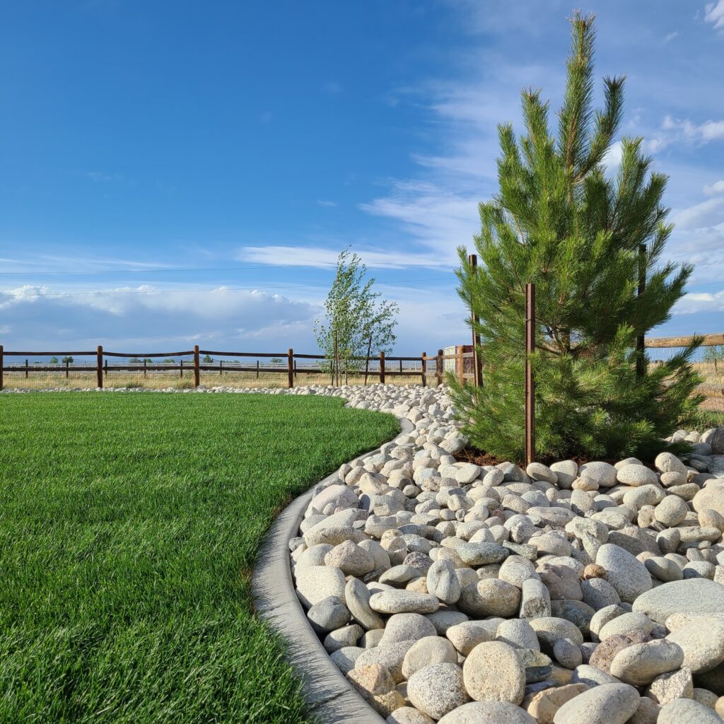 Northern Colorado Landscaping 11