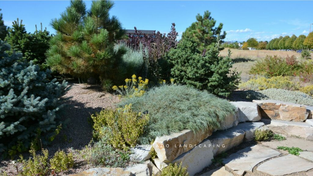 sustainable landscaping tips northern colorado